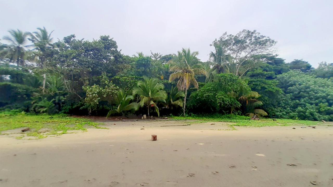 Lapalapa Beachfront Hotel Puerto Viejo de Talamanca Exterior foto