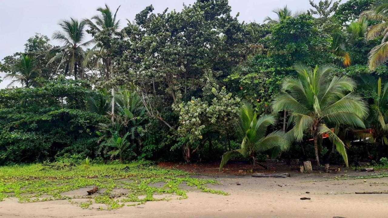Lapalapa Beachfront Hotel Puerto Viejo de Talamanca Exterior foto