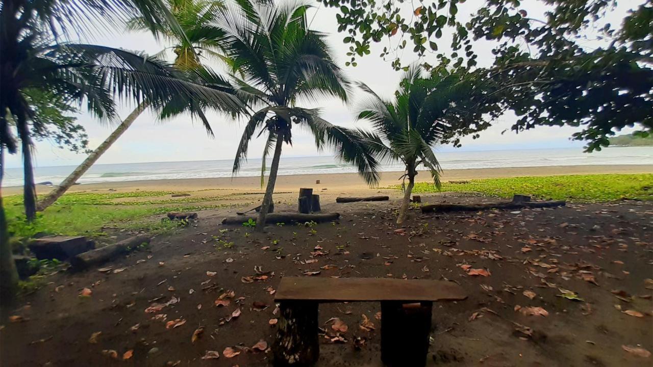 Lapalapa Beachfront Hotel Puerto Viejo de Talamanca Exterior foto