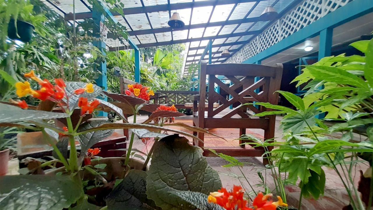 Lapalapa Beachfront Hotel Puerto Viejo de Talamanca Exterior foto
